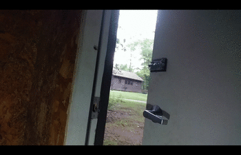 Camping Toilet Pee in Dirty Outhouse