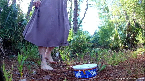 Feeding my Toilet Dog my Shit Outside