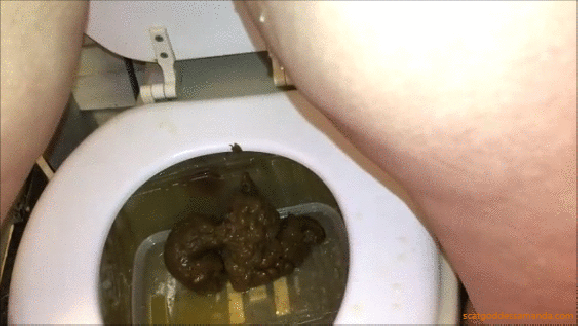 Huge Brown Snake Poops