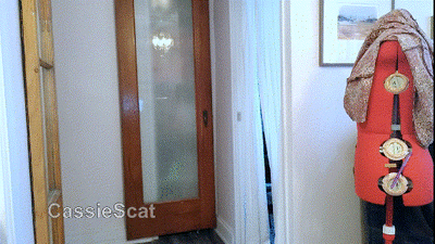 Mean Girl Blocking Toilet: Poop Your Pants!