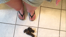 Bad Dog Poo Poo Surprise