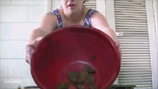 Five Shit Load Brownies