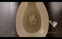 Busy Public Bathroom Diarrhea on Ski Vacation